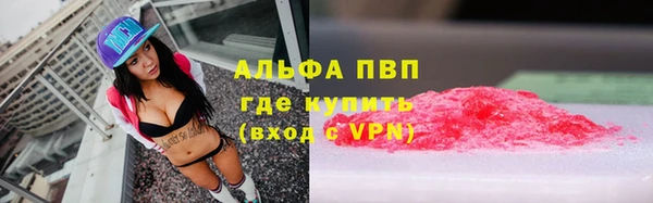 СК Дмитровск
