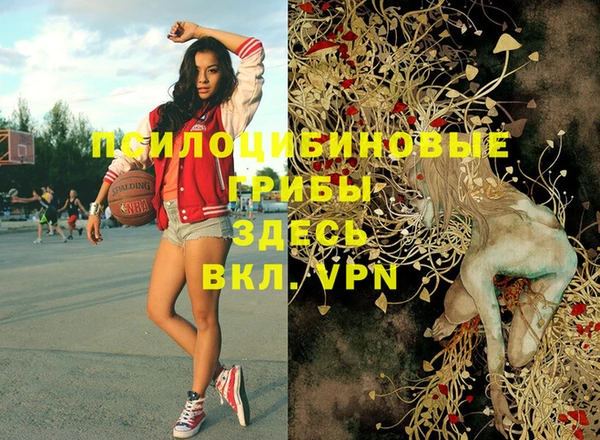 мефедрон Богородицк