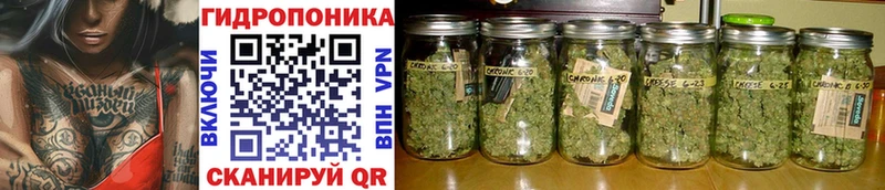 Бошки Шишки индика Великие Луки